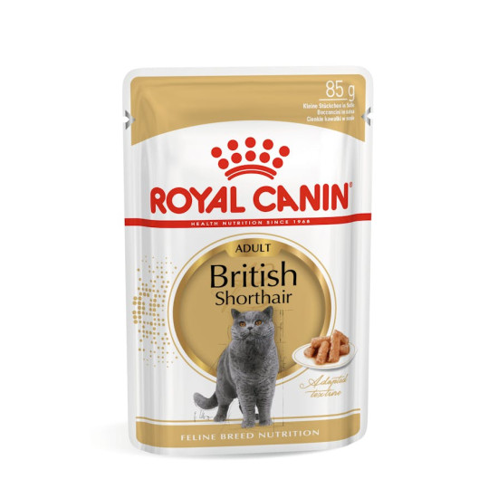 Royal Canin British Shorthair Adult – Hrană Umedă în Sos pentru Pisici Adulte din Rasa British Shorthair – 85 g